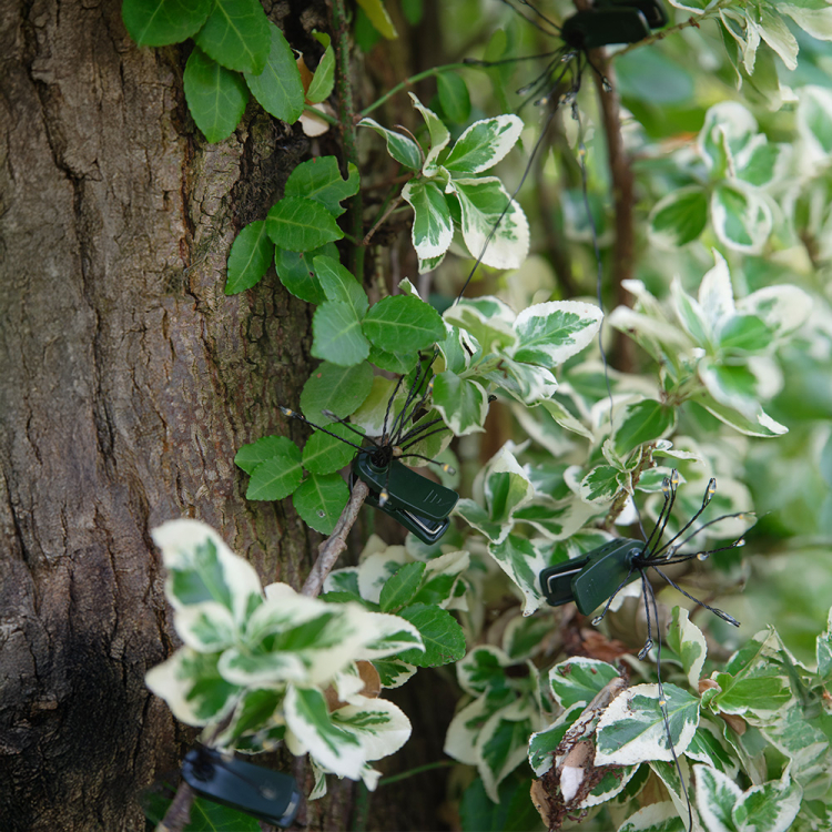 Girlanda solarna z klipsami STARLIGHT